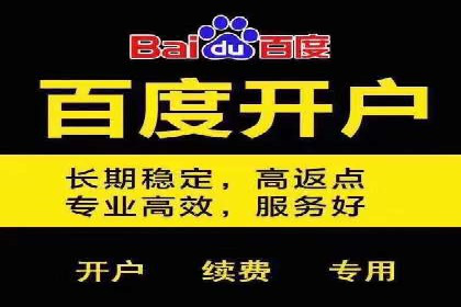 SEM广告投放的技巧与策略——成功案例分享